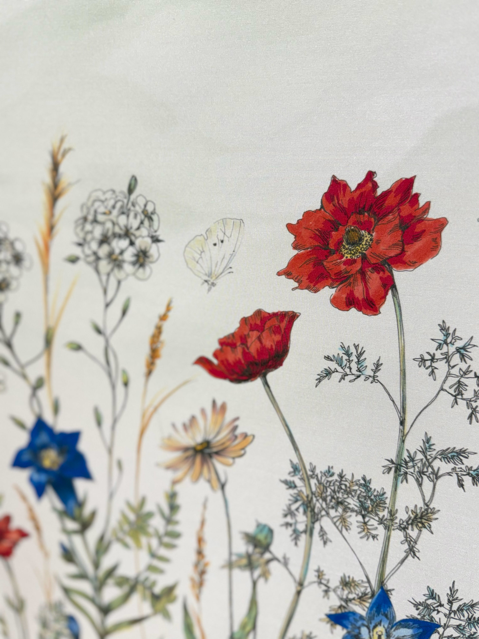 FLEUR DES ALPES | Color – Image 4