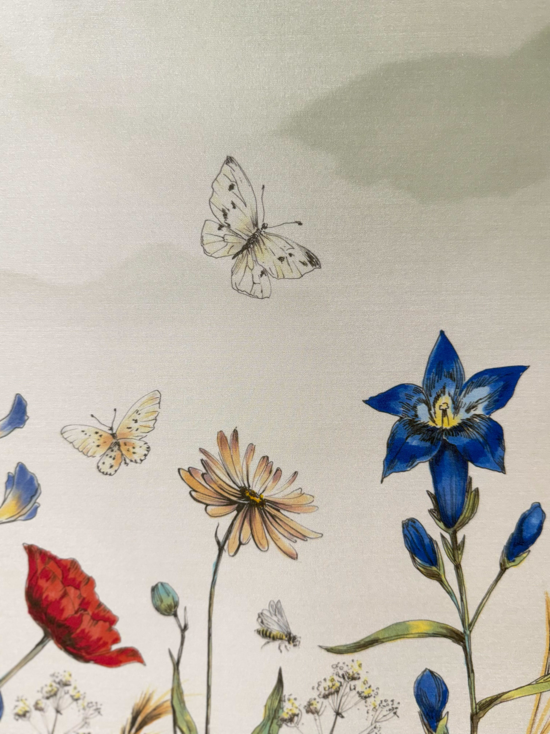 FLEUR DES ALPES | Color – Image 3