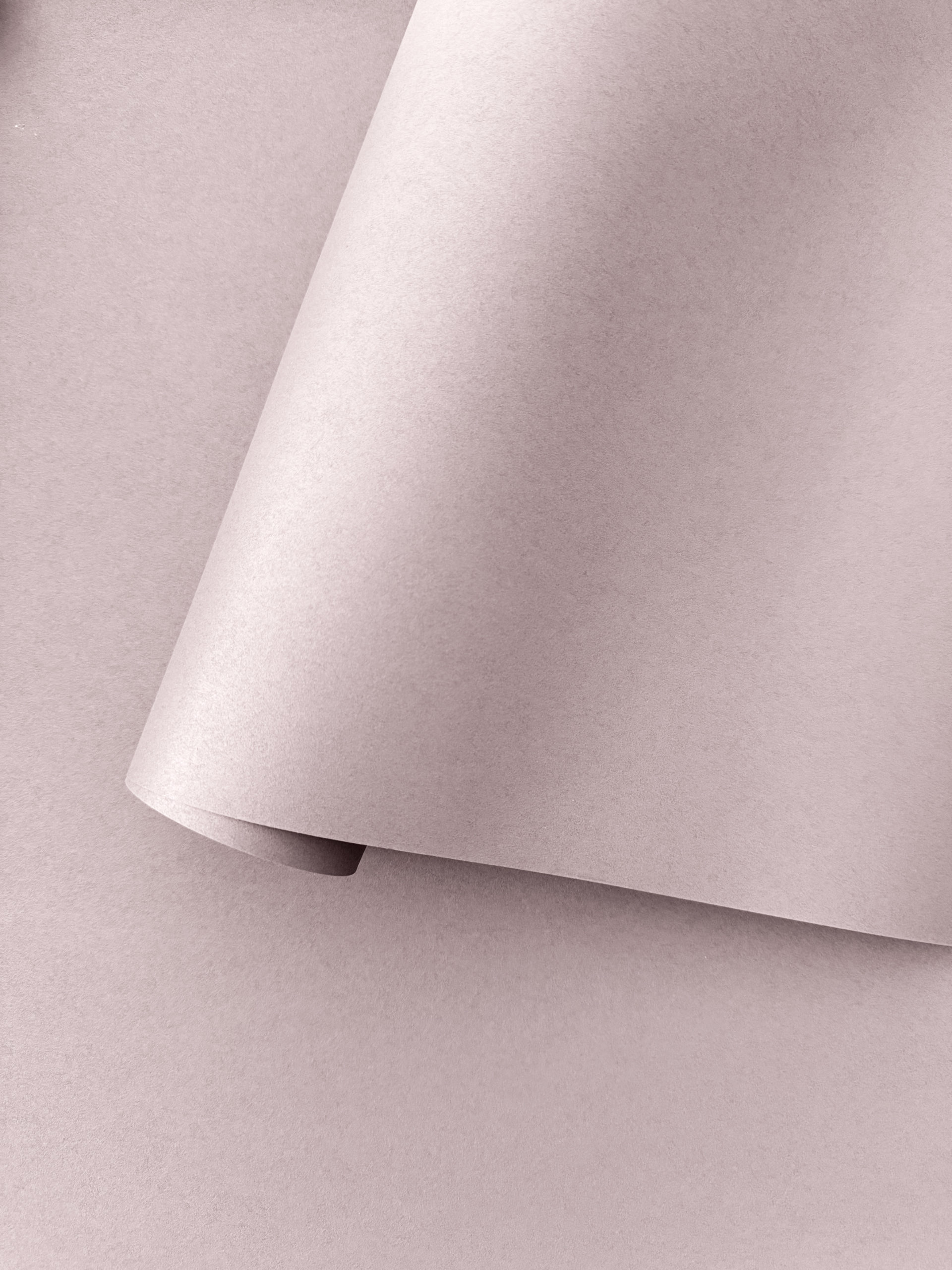 PLAIN UNI | Almost Mauve – Image 2