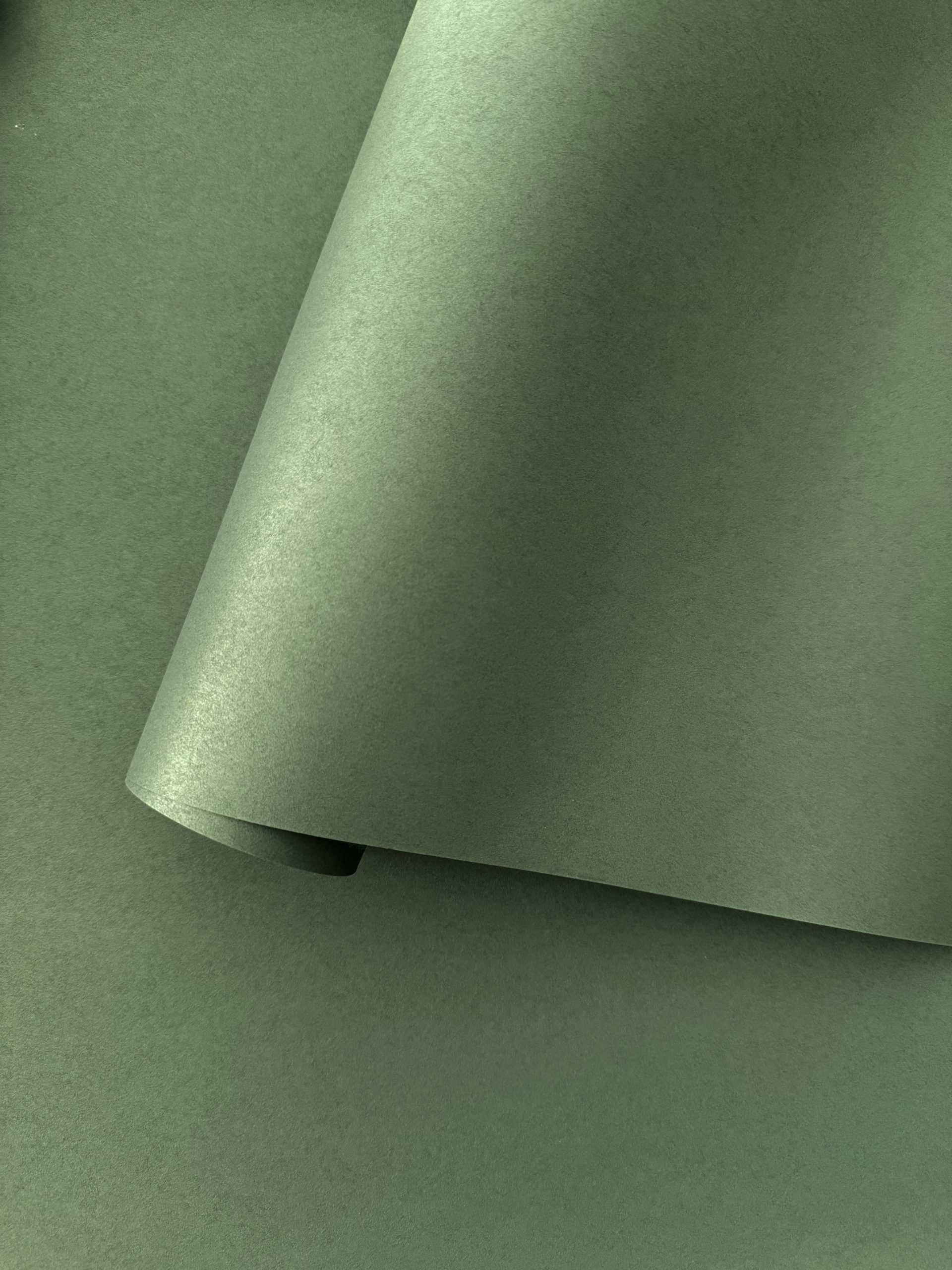 PLAIN UNI | Green Meadow – Image 2