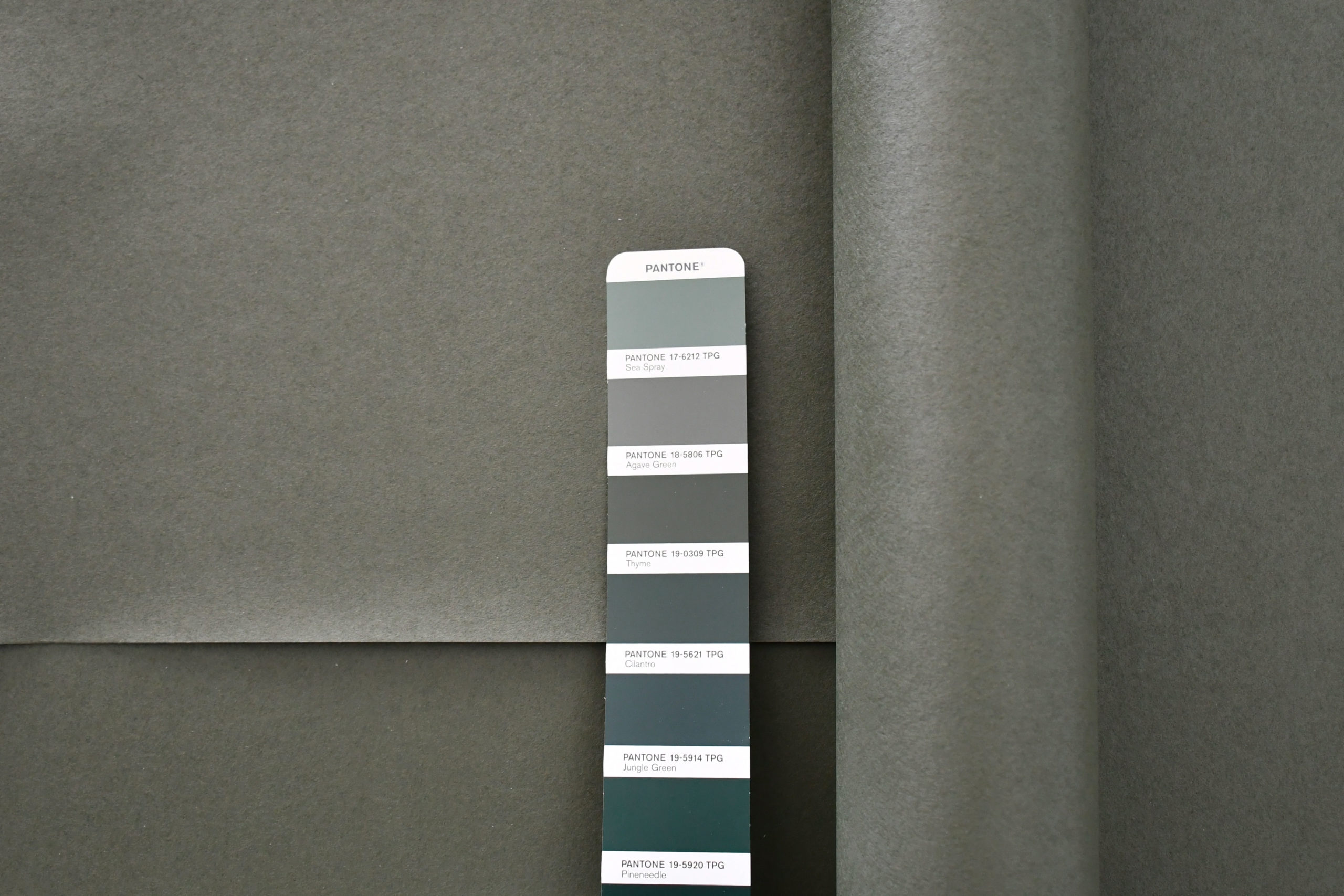 PLAIN UNI | Thyme – Image 2