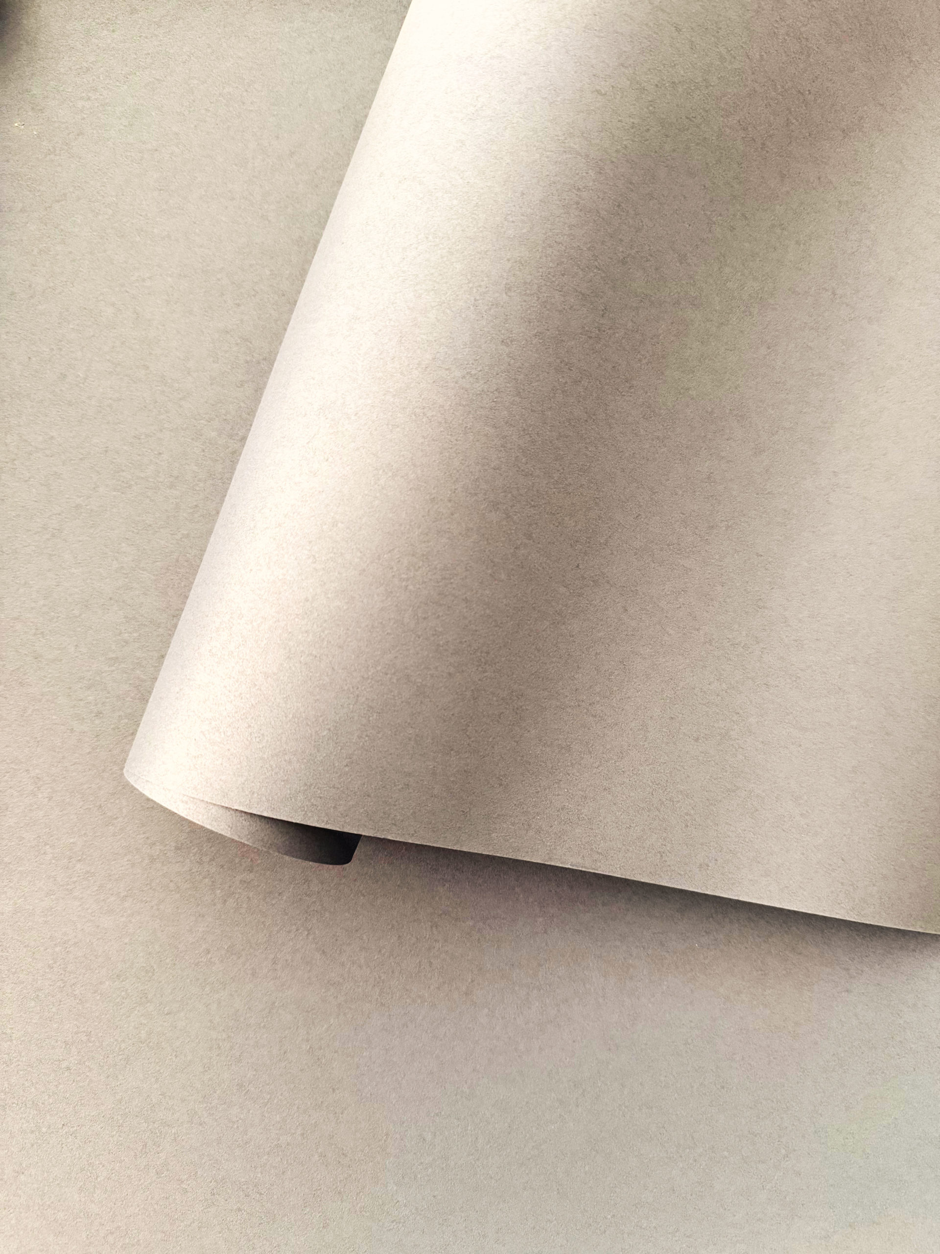 PLAIN UNI | French Oak – Image 2