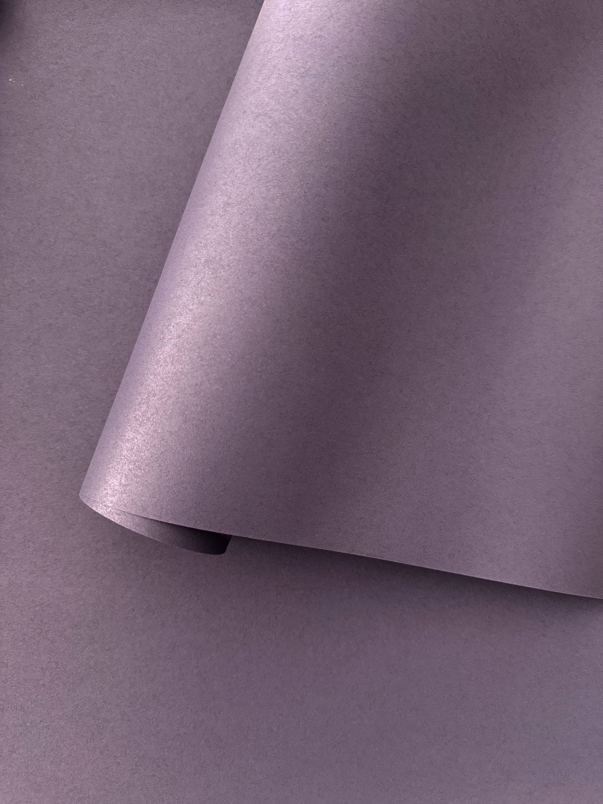 PLAIN UNI | Wildberry – Image 2