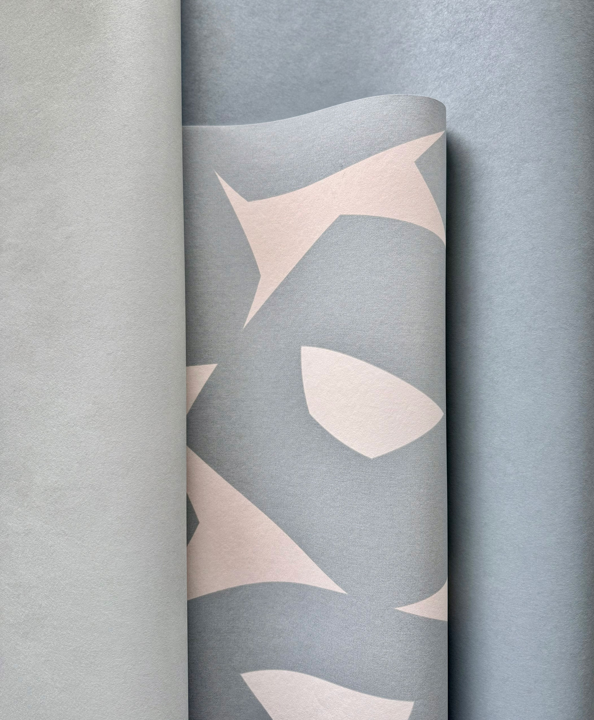 COCONUT DESIGN | Salt Lake – Image 4