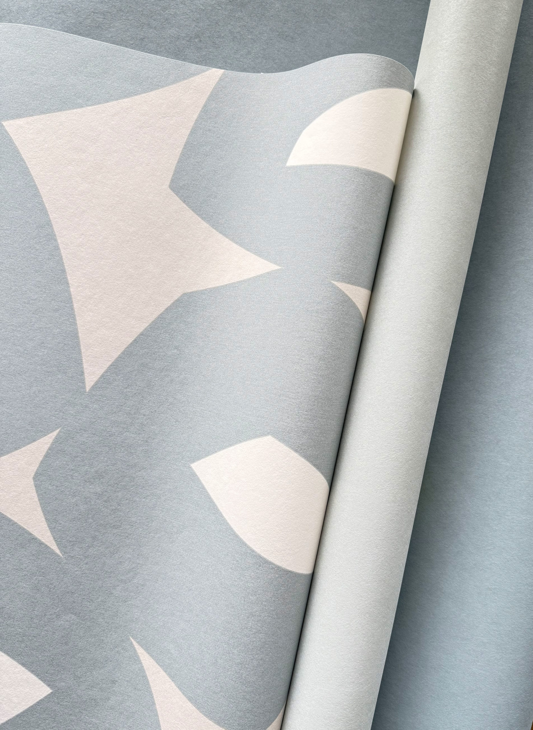 COCONUT DESIGN | Salt Lake – Image 3