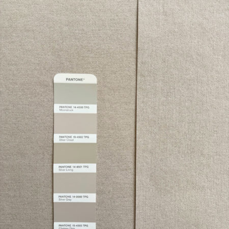 WALL CANVAS UNI | Neutral