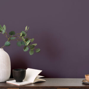 PLAIN UNI | Wildberry