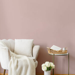PLAIN UNI | Rose Dust