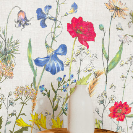 FLEUR DES ALPES | Color